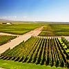 Mendoza