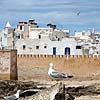Essaouira