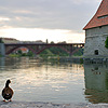 Maribor Maribor